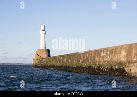 Aberdeen faro anteriore del cielo blu Foto Stock