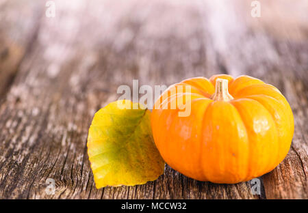 Decorazione d'autunno con zucca e foglie Foto Stock