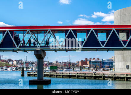 Persone che passeggiano lungo il moderno vetro chiuse marciapiede andando oltre il Baltimore Inner Harbor al National Aquarium Foto Stock