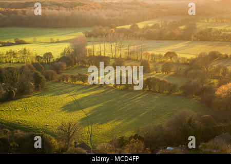 Ombre lunghe durante un pomeriggio autunnale preso dal diavolo impastare. Wye Downs, Wye, Kent, Regno Unito. Foto Stock