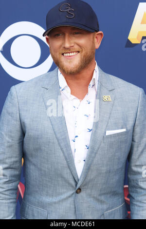 Las Vegas, Nevada, USA. Xvi Apr, 2018. Il cantante Cole Swindell assiste la 53rd accademia di musica country assegna il 15 aprile 2018 a MGM Grand Arena di Las Vegas, Nevada. Credito: Marcel Thomas/ZUMA filo/Alamy Live News Foto Stock