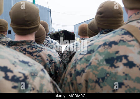 L'esercito rumeno accoglie con favore gli alleati della NATO durante la cerimonia di apertura dell'esercizio Platinum Eagle 17.2 a Babadag Area Formazione, Romania, Feb. 12. Mar Nero La forza di rotazione della partecipazione di Aquila Platinum permette la formazione con più nazioni partner ed è di fondamentale importanza nel trattare le questioni regionali e di mantenimento della pace nella parte orientale della regione europea. Foto Stock