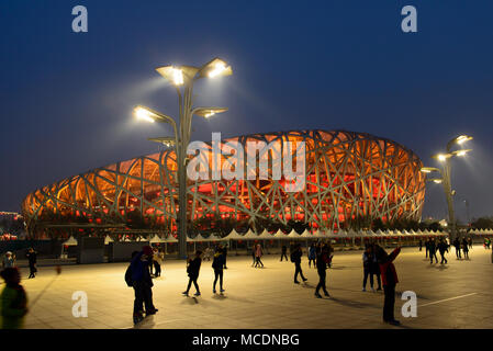 Cina Pechino Bird Nest National Stadium di notte Foto Stock