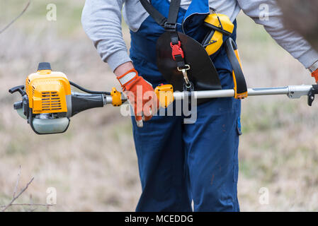 Giardiniere taglio di ramo di albero con una pole visto Foto Stock