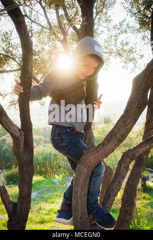 Little Boy arrampicata sugli alberi, Atene, Grecia Foto Stock