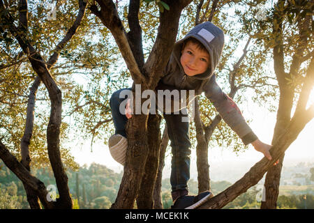 Little Boy arrampicata sugli alberi, Atene, Grecia Foto Stock