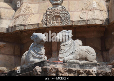 Asia, India, nello Stato del Tamil Nadu, Tirundhuthevankudi, Sri Karkadeswarar tempio Foto Stock