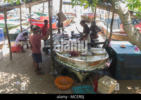 Pescatore di vendita del pesce al mercato del pesce, Galle, Sri Lanka, in Asia. Foto Stock