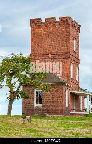 Port Townsend, Washington, Stati Uniti d'America - settembre 21,2013: un cane a pause nel cantiere di Alexander il castello, a Ft. Warden in Port Townsend Washington. Buil Foto Stock