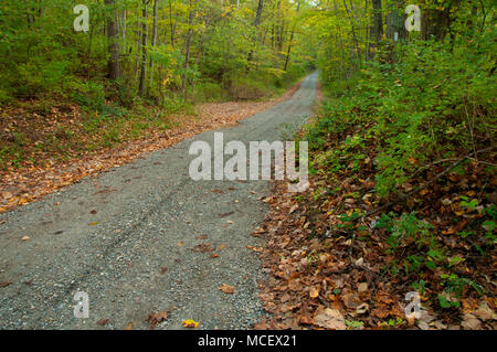 Strada sterrata, Appalachian National Scenic Trail, Stanley cooperativa opere Wildlife Management Area, Connecticut Foto Stock