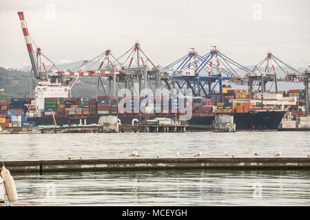 MSc Mayssan caricamento in La Spezia, Italia Foto Stock