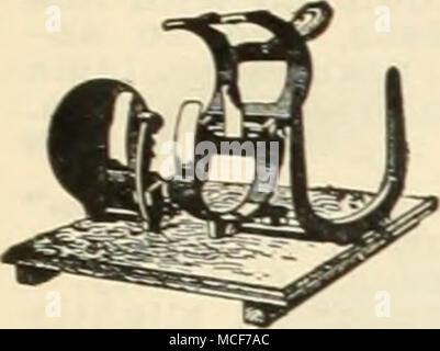 . Coltello di asparagi Philadelphia Asparagi Asparagi Buncher Bunchers. Philadelphia $3 50 asparagi coltello. Breve o Lungo manico 65 asparagi nastro. Quotata al momento dell'applicazione. Candeggiante di sedano. La sfera di sedano tubi di sbianca sono fatte di pesante carta impermeabilizzata. Con loro molto presto il sedano può essere dovuto per la tabella poiché essi possono essere collocati in qualsiasi momento le piante sono abbastanza grandi. Libera circolazione di aria nei tubi mantiene le piante in buone condizioni anche in ambienti caldi o con tempo umido. 6 x 12 pollici. 6% x 13 pollici. 7 x 14 pollici. Doz. .$0 40 45 50 100 1000 $3 0© $27 OO 3 25 3 75 31 50 36 00 quando viene messa su ce Foto Stock