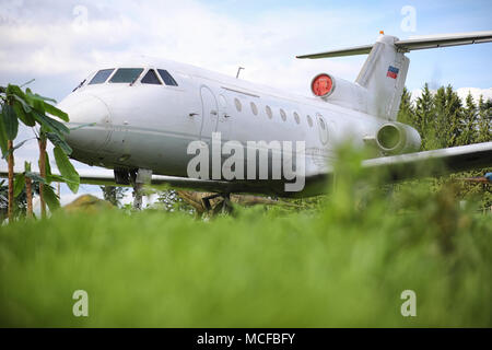 Piano nella giungla. L'aereo è atterrato nella fitta vegetazione di Foto Stock