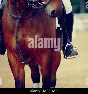 Piede di un atleta in una staffa a cavallo di un cavallo Foto Stock