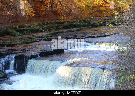 Aysgarth falls: le superbe cascate sul Fiume Ure, North Yorkshire, Regno Unito Foto Stock