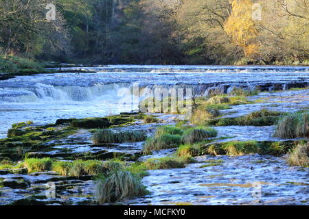 Aysgarth falls: le superbe cascate sul Fiume Ure, North Yorkshire, Regno Unito Foto Stock