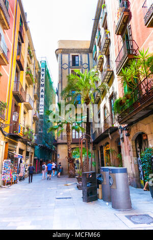 Street con palme e case colorate nel Quartiere Gotico (Barri Gotic) a Barcellona, Spagna Foto Stock