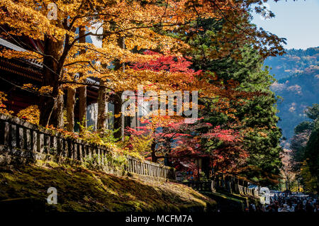 Meraviglioso fogliame in Shoyo-en giardino giapponese in Nikko Foto Stock