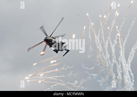 L'attuale assalto anfibio helicopte CHF Merlin che hanno sostituito il mare re dieci dei quali sarà in grado di terra di una società in un ascensore di HM Foto Stock