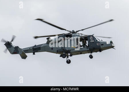 Con 847 formazione NAS in noi il Wildcat A H MK 1 prendendo parte nel ruolo di dimostrazione è venuto da 652 Squadrone Army Air Corps che porta ut il Foto Stock