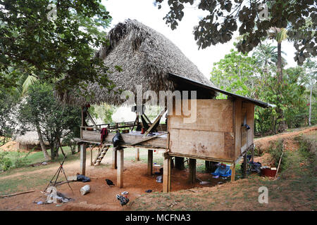 PANAMA, 31 MAR: nativa indiana capanna con tetto di paglia di casa al Embera villaggio indiano. Il 31 marzo 2018. Embera Parara Puru Fiume Chagres Panama Foto Stock