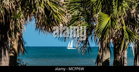 Un moderno e bianco in barca a vela visto attraverso una apertura nella palme vicino a una spiaggia. Foto Stock