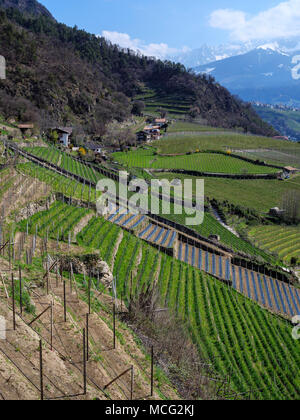 Sentiero escursionistico Algunder Waalweg, Algund-Lagundo, provincia Bozen-South Tirolo, Italia Foto Stock