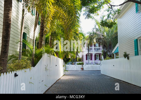 Una piccola strada laterale di Key West, Florida. Foto Stock