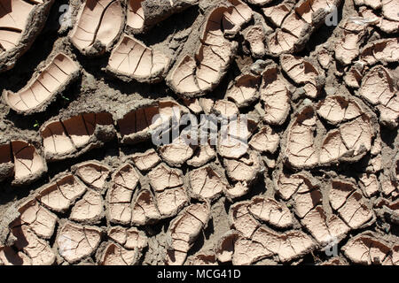 Siccità Foto Stock