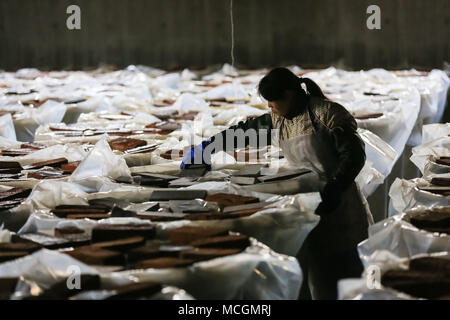 Yangzhou, cinese della provincia di Jiangsu. Xvi Apr, 2018. Un lavoratore controlli sul salato uova di anatra in Gaoyou città di Yangzhou, est cinese della provincia di Jiangsu, Aprile 16, 2018. Gaoyou è ben noto per la produzione di acqua salata le uova di anatra. Credito: Yu Xing/Xinhua/Alamy Live News Foto Stock