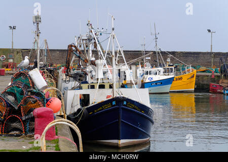 Vista dei pescherecci nel porto di Port Seton sul Firth of Forth in East Lothian, Scozia, Regno Unito. Foto Stock