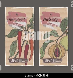 Set di due etichette con la noce moscata aka Myristica fragrans e il pepe di cayenna aka hot chili disegnati a mano schizzo a colori. Le erbe culinarie collezione. Ottimo per co Illustrazione Vettoriale