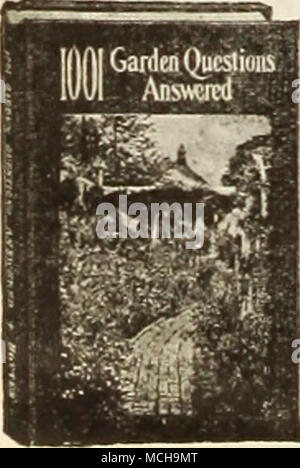 . Lobelia • 3031 Cardinalis (Cardinale fiore). I picchi alti coperti con una brillante scariet blumi. Cresce di circa 3 metri di altezza e fiorisce da agosto a ottobre. Pkt. 25c; pkt speciale. 75c. 3032 Cardinalis, Queen Victoria. Il fogliame bronzea; scarlet fiori in autunno; 3 piedi. Pkt. 25c; pkt speciale. S1.50. Lupinus-Lupino ® Foto Stock