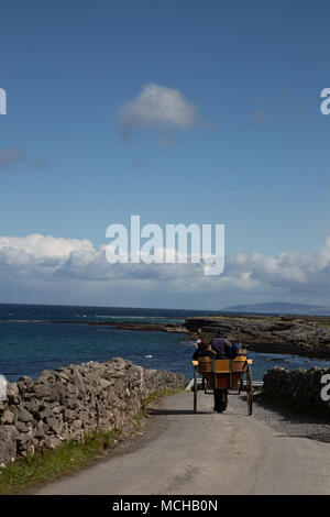 Carretto, Isole Aran, Irlanda Foto Stock