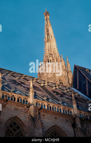 Il tetto e la torre sud della cattedrale di Santo Stefano (Stephansdom) a Vienna, Austria, al crepuscolo Foto Stock