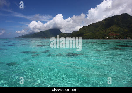 Costa Tropicale di Moorea con acqua turchese, belle isole e sulle montagne, Polinesia francese, South Pacific. Foto Stock