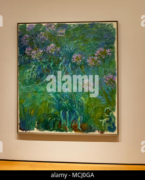 La città di New York MOMA - Claude Monet - Agapanthus Foto Stock