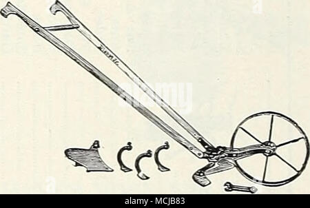 . Pianeta Jr. n. 17 singola ruota Hoe. La più popolare di tutte ruote le zappe, leggero, facile da maneggiare e presenta la maggior parte necessaria attrezzatura. 1 coppia di 6 in. le zappe, coltivatore 3 denti e un grande giardino aratro. Non una mezza giornata di lavoro con una mano la zappa in mezz'ora. $11.65. Gli alimentatori di uccelli - raccomandato dalla società Audubon Wild Bird banchetto. (Wild Bird Feed). Tutto tranne Suet e i dadi. Grani piccoli per piccoli uccelli-incrinato il mais per i più grandi uccelli-una dose generosa di girasole per i cardinali. La ghiandaia e la Cincia. Lb. 35c; 5 lbs. $1.25; 10 libbre S2.00, postpagato. Gridiron. Fatta di ruggine- metallo resistente, fdeal Foto Stock