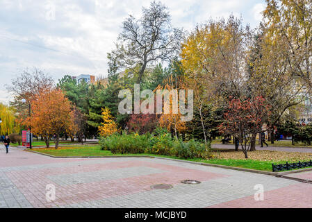 ROSTOV-on-Don, Russia - 10 novembre 2016: Pushkinskaya Street a Rostov, Russia Foto Stock