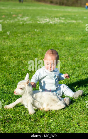 Umano e capra baby play, gloating sulla molla giornata soleggiata, gloating, erba Foto Stock