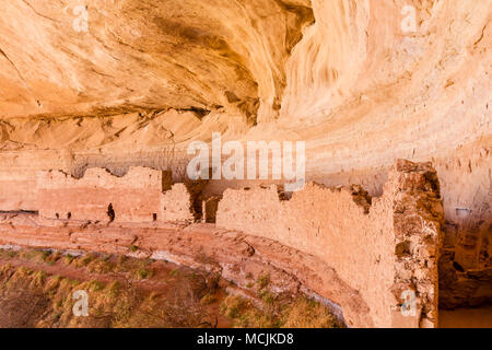 17 o 16 Camera rovina e un ancestrale rovina dei Pueblo in un nord verso l'alcova lungo il fiume San Juan vicino a Bluff, Utah. Foto Stock