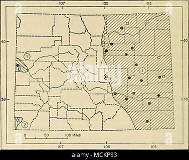 . Fig. 92. La distribuzione di due specie di volpi in Colorado. 1. Vulpes macrotis arsipus. 2. V. m. neo- mexicana. 3. Vulpes velox velox. Per la spiegazione dei simboli, vedere p. 9. Confronto.-Da v. m. neomexicanus, la sottospecie di estremo sudovest colo- rado, v. m. arsipus differisce principalmente in in particolare di dimensioni più piccole. Le misurazioni.-Le misure esterne di un maschio e una femmina (CU 7579, 7580) da Mesa County sono: 759, 790; 250, 258; 126,122; 84, -. Selezionate le misurazioni craniche dei suddetti individui, seguita da media (e) estremi di 8 maschi e 7 femmine, tutti da Foto Stock