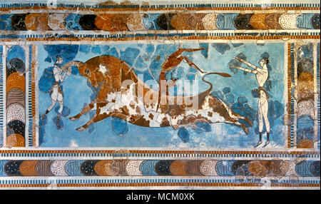 Periodo di Minoan. Il Palazzo di Cnosso. Età del Bronzo. Bull-saltando affresco, ca. 1400 BC. Esso raffigura un giovane uomo di eseguire ciò che sembra essere un handspring o capovolgere una bolla di carica. Bull che saltava era un locale di sport, durante la quale l'atleta ha dovuto eseguire salta sopra e sulla bolla. Era un rituale dedicato ad Apollo. Periodo MM IIIB. Museo Archeologico di Heraklion. Creta, Grecia. Foto Stock