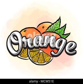 Arancione etichetta colorata segno. Vettore di disegno per la pubblicità. Un design fresco di frutti colorati realizzati in stile acquarello. Illustrazione moderna su bianco bac Illustrazione Vettoriale