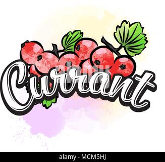 Ribes etichetta colorata segno. Vettore di disegno per la pubblicità. Un design fresco di frutti colorati realizzati in stile acquarello. Illustrazione moderna su bianco ba Illustrazione Vettoriale