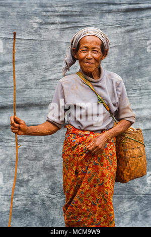 Ritratto di femmina senior agricoltore in posa con il sacco e il ramoscello nella parte anteriore del tessuto grigio, Stato Shan, Myanmar Foto Stock