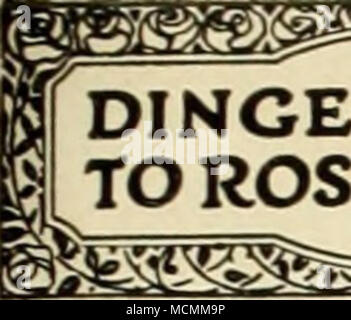 . Guida di NGEE ROSE CULTURA Dingee Roses sopravvivere @F-^,?v^5 l"t g&GT;;T-^A^g^jt, ®g^wa.un&GT; ^^ s^c"^!? Ag^vjt®FV't HVB1RII&GT; TEA K09ES-Continua Radiance una gloriosa nuova extra hardy Hybrid Tea Rose da cui ha avuto origine la entro un raggio di pochi chilometri a ovest di Grove. Aggiudicati la medaglia d'argento dalla American : Rose società come il miglior lettiera rosa a Hartford, Connecticut, giardini j nella passata stagione. I fiori sono una splendida mescolanza di sfumature di ] carmine-rose, con opale e riflessi ramati. Si tratta di splendide, ho robusta crescita, costantemente in Bloom, ed è destinato a diventare uno dei leader del mio giardino di rose. Foto Stock