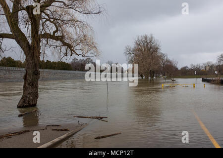 Harris Park, Londra. Xvii Apr, 2018. Regno Unito: Meteo Il Tamigi continua a culatta le sue banche in Harris Park come i livelli elevati di acqua fanno strada lungo il fiume a Londra, Ont. il 17 aprile 2018. Credito: Mark Spowart/Alamy Live News Foto Stock