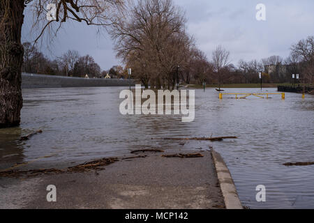 Harris Park, Londra. Xvii Apr, 2018. Regno Unito: Meteo Il Tamigi continua a culatta le sue banche in Harris Park come i livelli elevati di acqua fanno strada lungo il fiume a Londra, Ont. il 17 aprile 2018. Credito: Mark Spowart/Alamy Live News Foto Stock