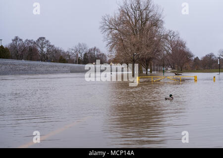 Harris Park, Londra. Xvii Apr, 2018. Regno Unito: Meteo Il Tamigi continua a culatta le sue banche in Harris Park come i livelli elevati di acqua fanno strada lungo il fiume a Londra, Ont. il 17 aprile 2018. Credito: Mark Spowart/Alamy Live News Foto Stock